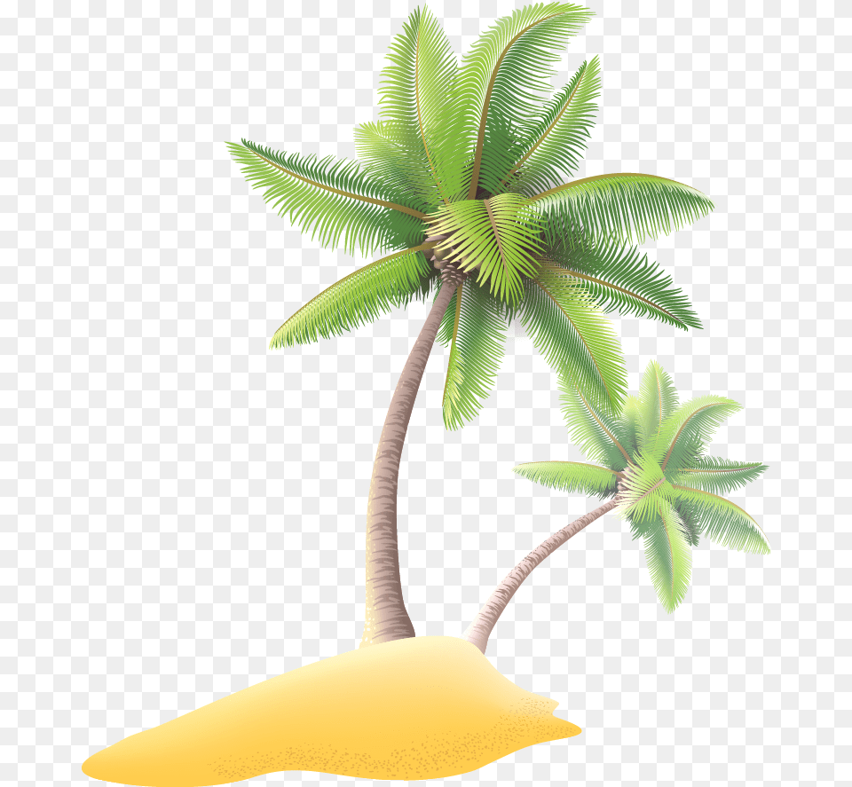 Svg Transparent Luxury Yacht Illustration Coconut Tree Coconut, Palm Tree, Plant, Leaf Png