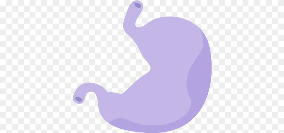 Svg Vector File Estomago Free Transparent Png