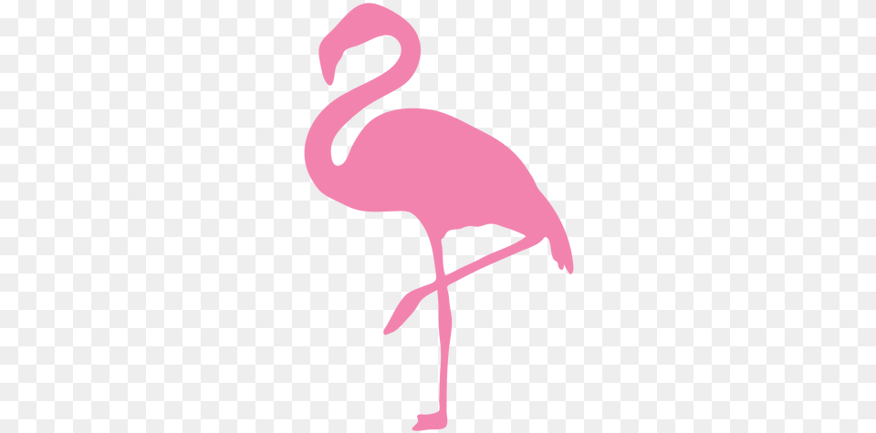 Svg Vector File Greater Flamingo, Animal, Bird, Cross, Symbol Free Png