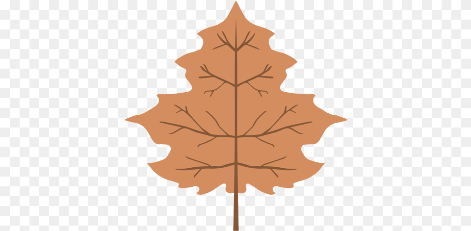 Svg Vector File Maple Leaf, Maple Leaf, Plant, Tree, Person Png Image