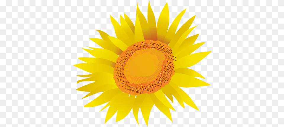 Svg Vector File Mediawiki Flower, Plant, Sunflower, Ball, Sport Free Transparent Png