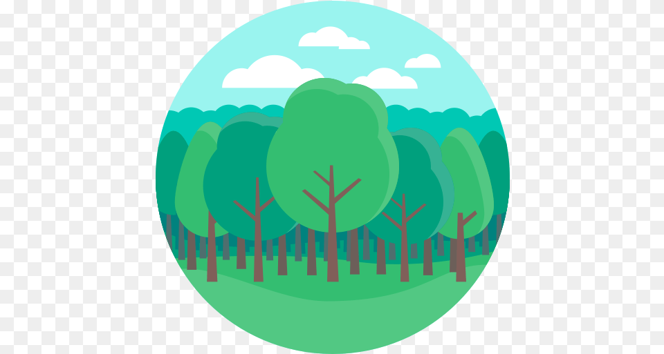 Svg Woods Icons For Download Uihere Tree Flat Icon, Green, Photography, Sphere, Outdoors Png Image