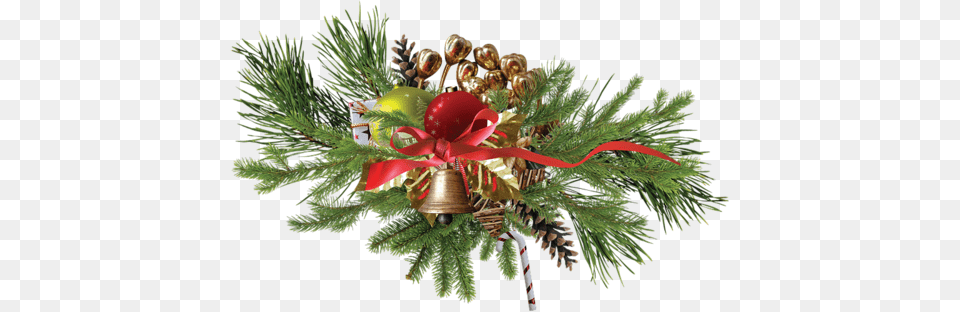 Svjnsjuf Pbdkdqkvdd6d6q Hojas De Pino Navidad, Plant, Tree Png Image