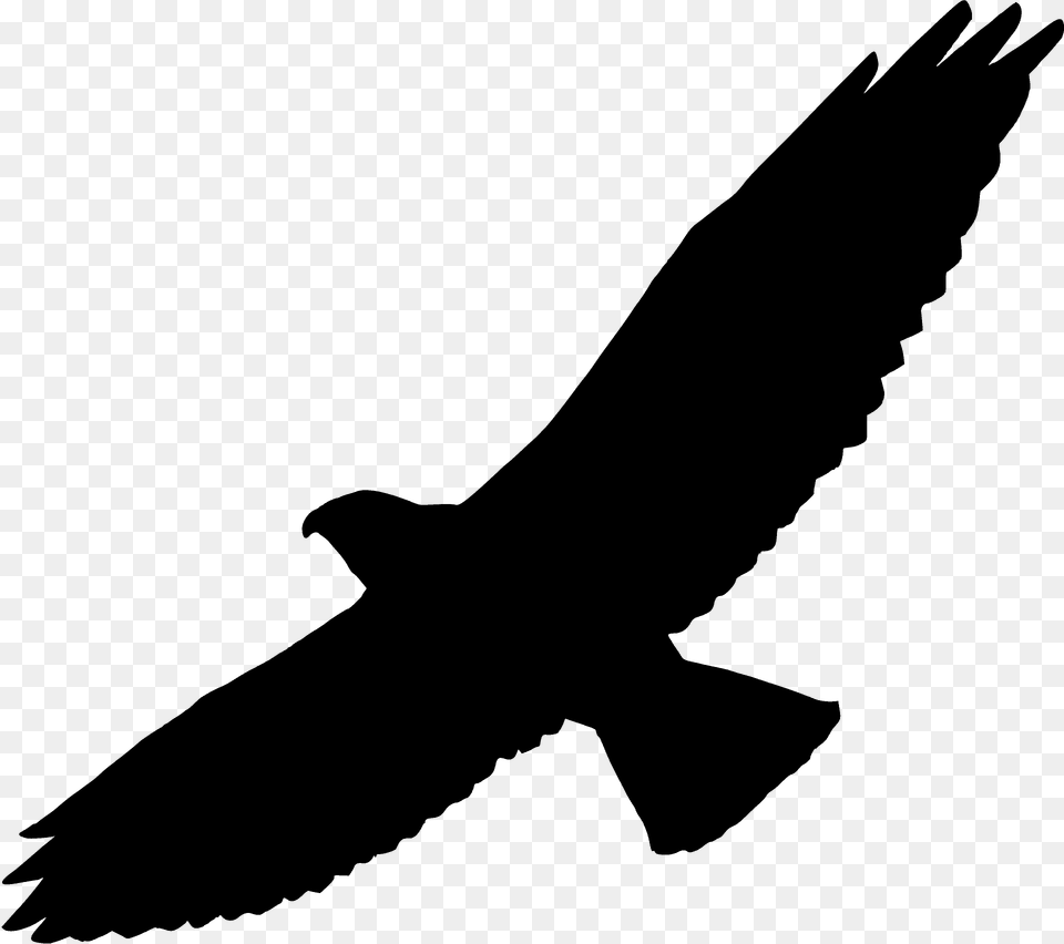 Swainson Hawk Silhouette, Person, Animal, Bird, Vulture Free Png