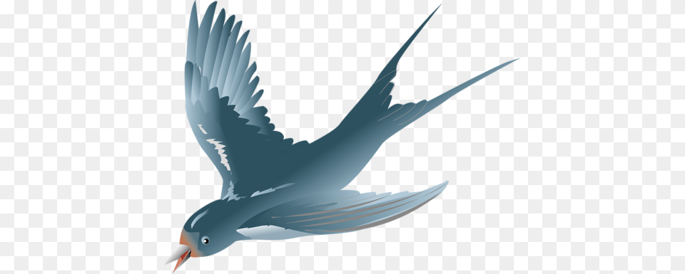 Swallow, Animal, Bird, Flying, Beak Png Image