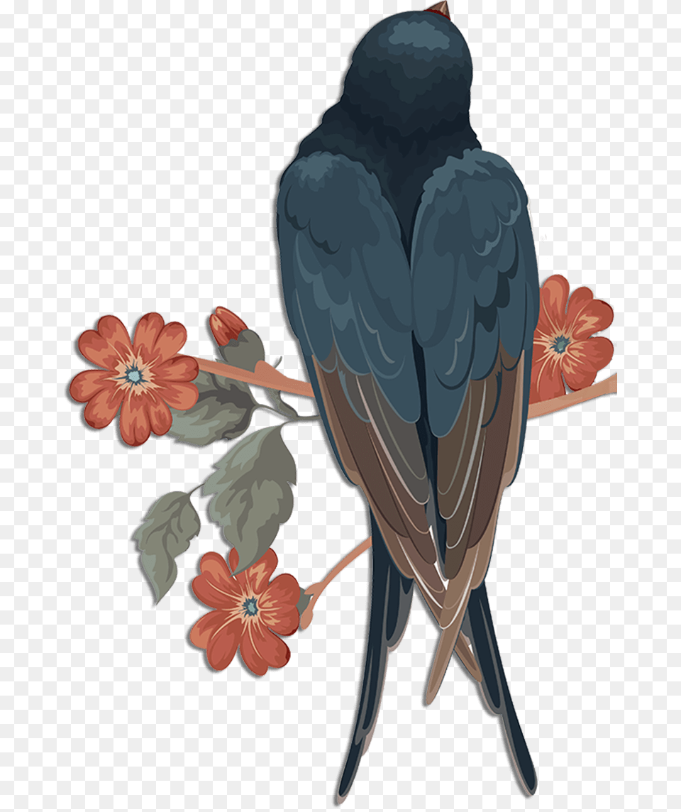 Swallow, Animal, Bird, Blackbird, Flower Png