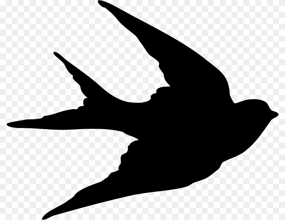 Swallow, Animal, Bird, Silhouette, Bow Free Png