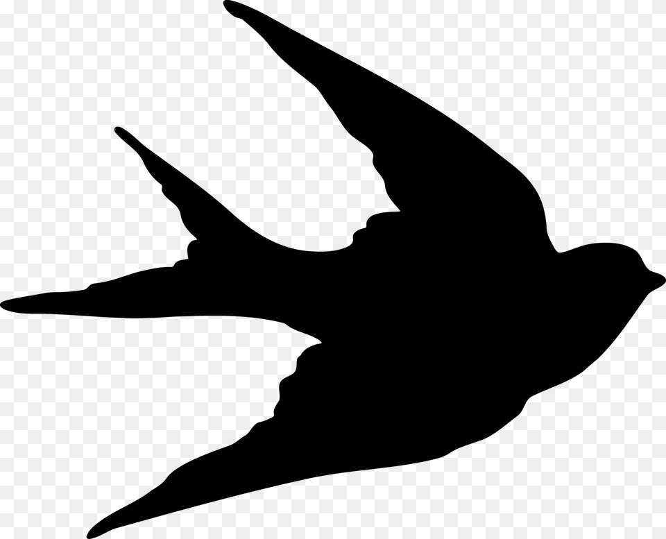 Swallow Free Png Download