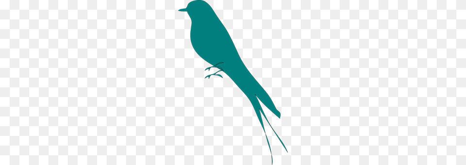 Swallow Animal, Bow, Weapon Free Png Download