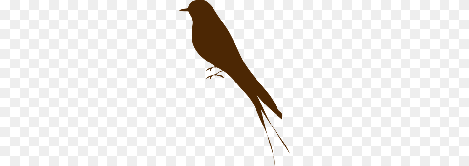 Swallow Bow, Weapon, Animal, Bird Png
