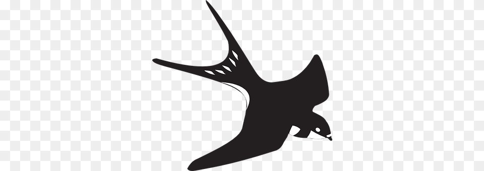 Swallow Antler, Animal, Fish, Sea Life Png Image