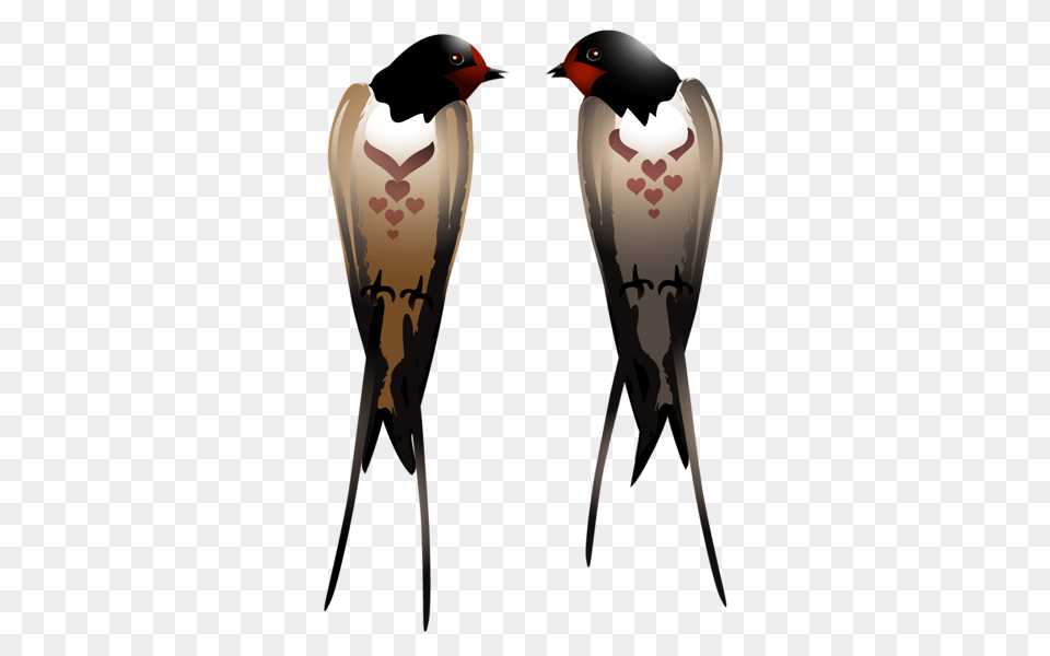 Swallow, Animal, Beak, Bird, Finch Free Transparent Png