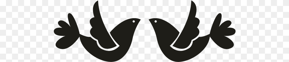 Swallow, Face, Head, Person, Mustache Png