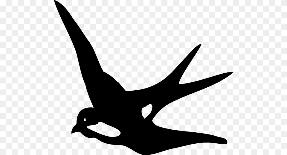 Swallow, Gray Png Image