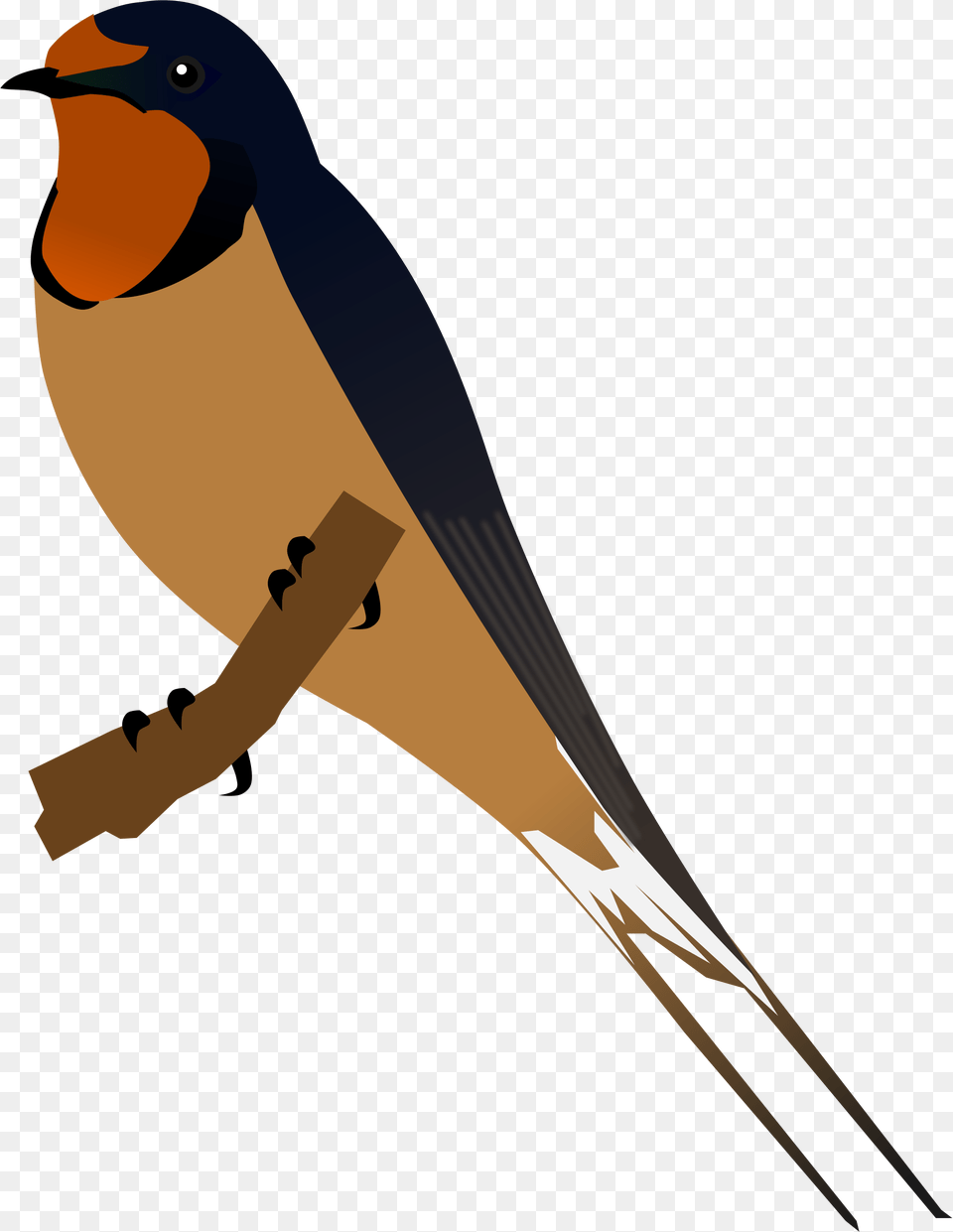 Swallow, Animal, Bird Png