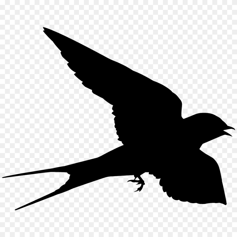 Swallow, Silhouette, Animal, Bird, Fish Png