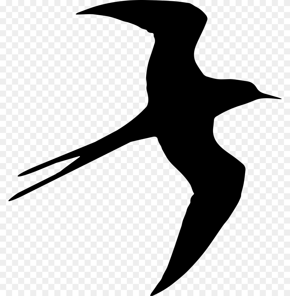 Swallow Bird Flying Silhouette Bird Fly Psd File, Animal, Booby Free Png Download