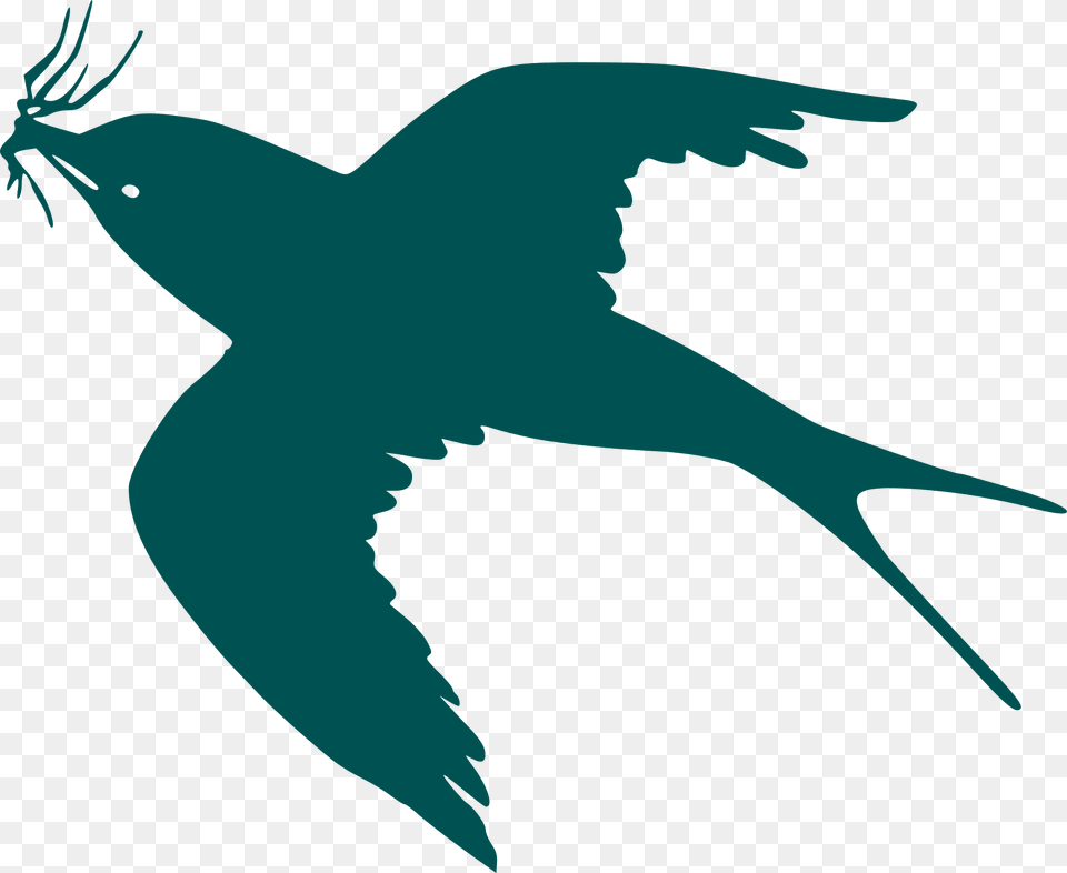 Swallow Clipart, Animal, Fish, Sea Life, Shark Png Image