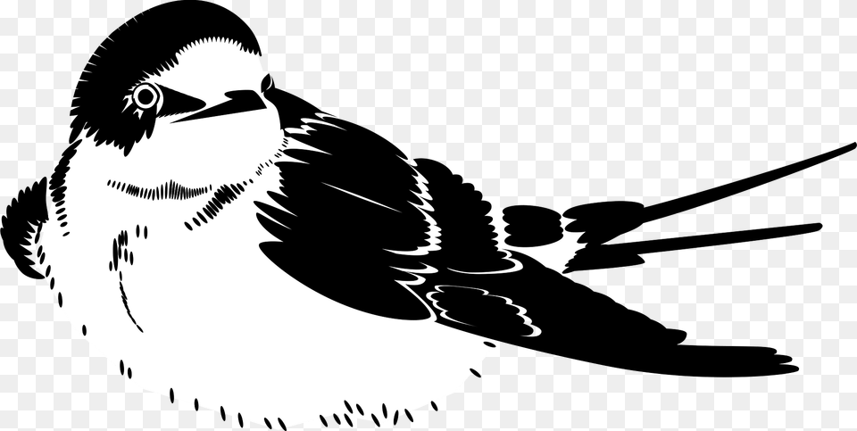 Swallow Clipart, Stencil, Animal, Bird, Beak Free Png