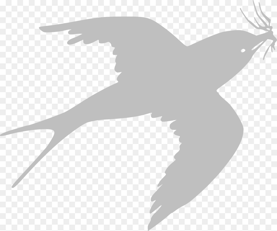 Swallow Clipart, Animal, Bird, Flying, Fish Free Png Download