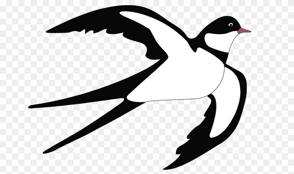 Swallowbird Image, Animal, Bird, Goose, Stencil Free Png Download