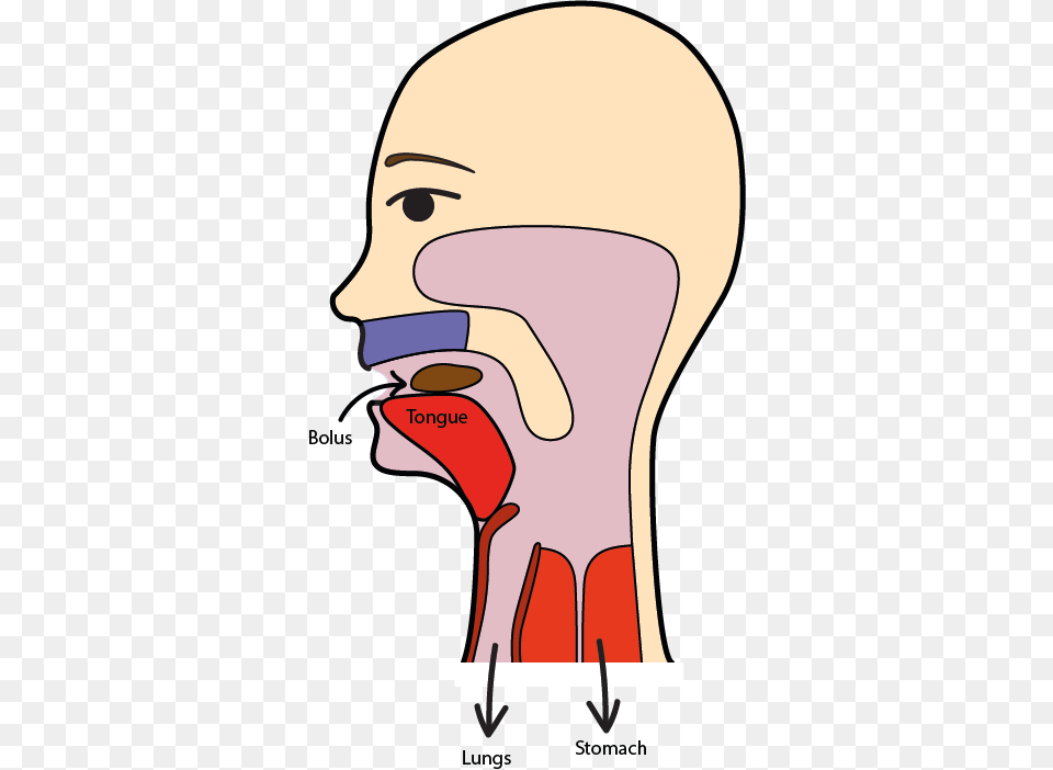 Swallowing, Body Part, Mouth, Person, Face Png Image