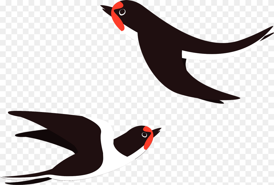 Swallows Flying Clipart, Animal, Beak, Bird, Finch Free Transparent Png