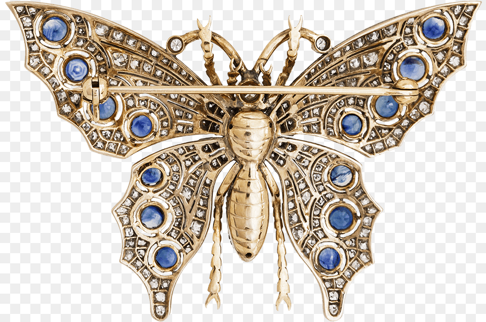 Swallowtail Butterfly, Accessories, Brooch, Jewelry Free Transparent Png