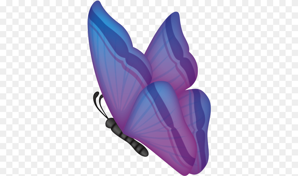 Swallowtail Butterfly, Appliance, Blow Dryer, Cushion, Device Free Png Download