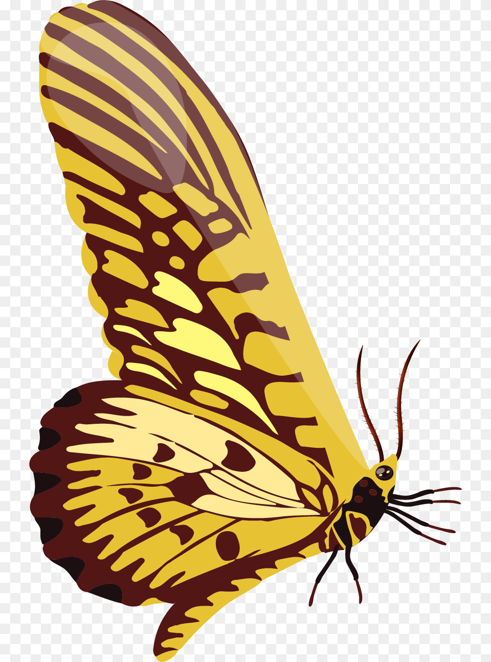 Swallowtail Butterfly, Animal, Bee, Insect, Invertebrate Png Image