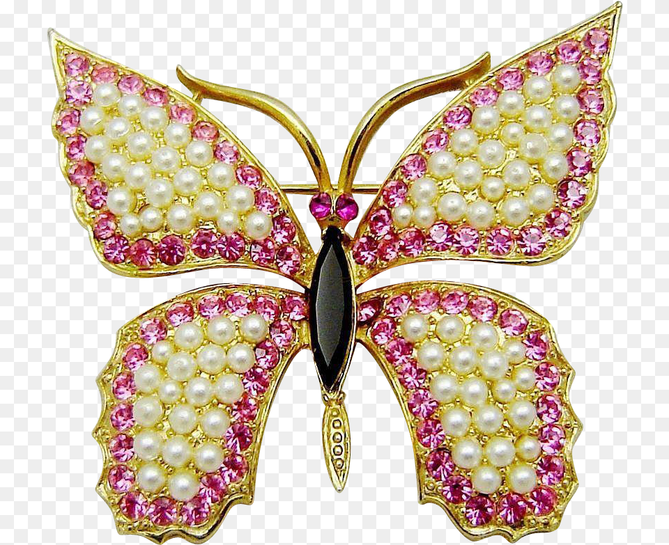 Swallowtail Butterfly, Accessories, Brooch, Jewelry, Necklace Free Transparent Png
