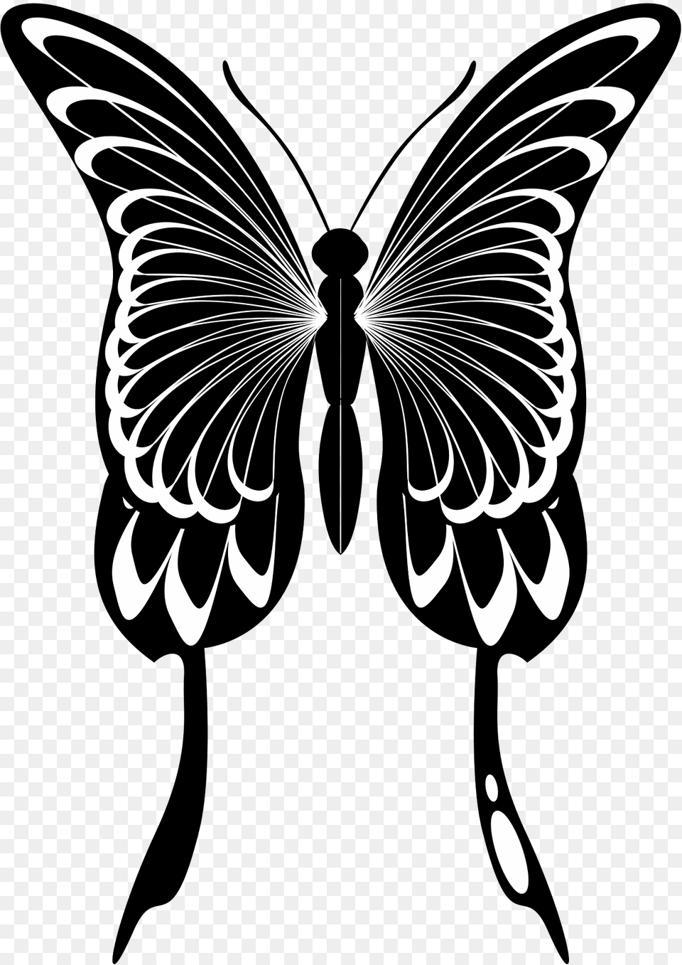 Swallowtail Butterfly Clipart, Stencil, Animal, Bird, Flying Png