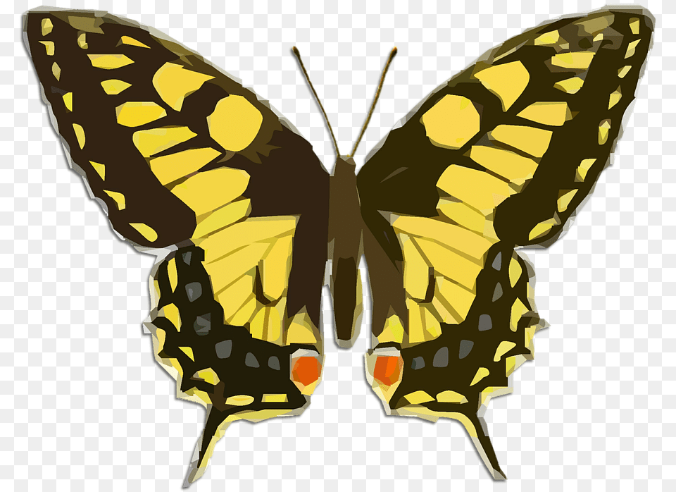 Swallowtail Butterfly Transparent Background, Animal, Insect, Invertebrate, Person Png