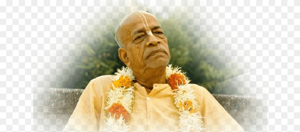 Swami Prabhupada, Accessories, Plant, Flower, Flower Arrangement Free Png