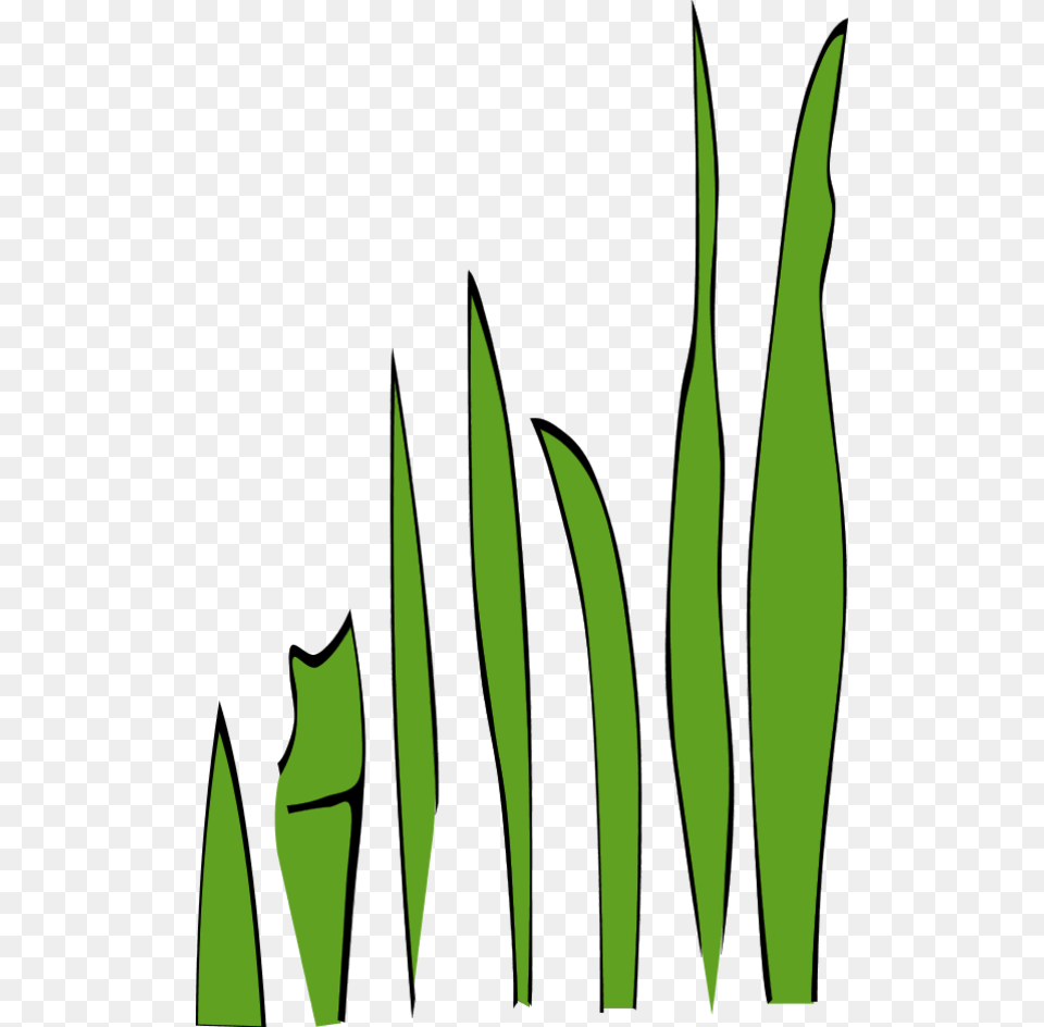 Swamp Clipart Bush Grass, Green, Leaf, Plant, Vegetation Free Transparent Png