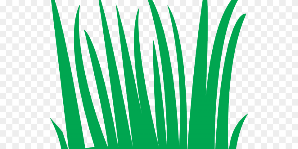 Swamp Clipart Grass Field Animasi Rumput, Green, Plant, Vegetation Free Png