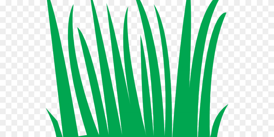 Swamp Clipart Grass Field Animation, Green, Plant, Vegetation Free Transparent Png