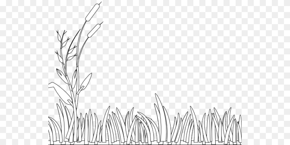 Swamp Clipart Grass Field Clipart Grass Black And White, Plant, Art, Graphics, Reed Free Transparent Png