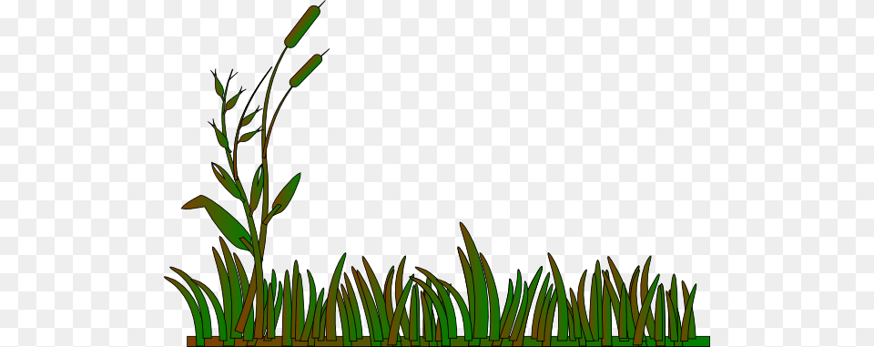 Swamp Clipart Wetland, Grass, Green, Plant, Vegetation Free Transparent Png