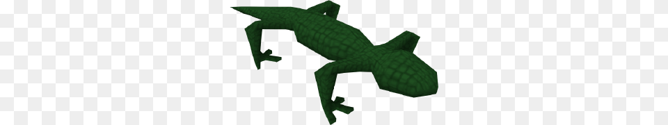 Swamp Lizard, Animal, Gecko, Reptile, Snake Png