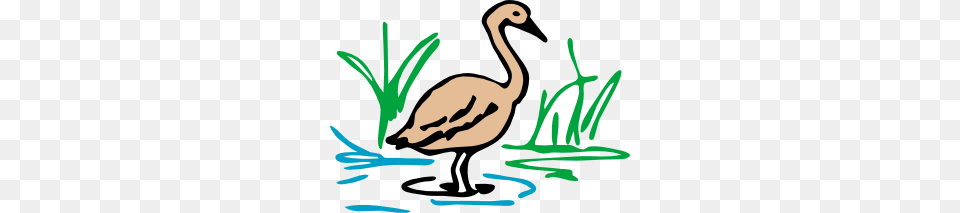 Swamp Scene Cliparts, Animal, Bird, Face, Head Free Png