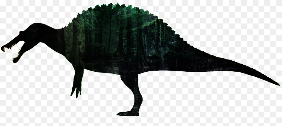 Swamp Spinosaurus, Animal, Dinosaur, Reptile, T-rex Free Transparent Png