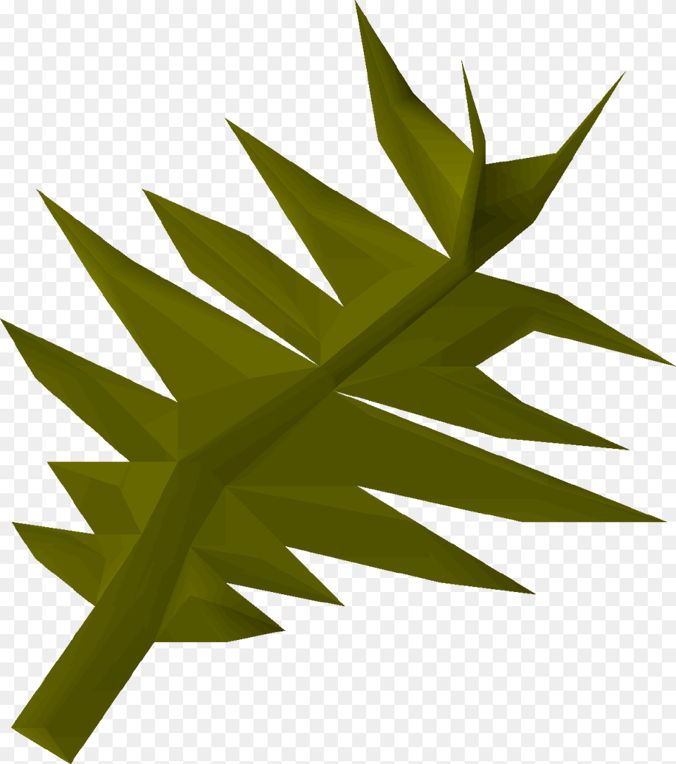 Swamp Weed, Green, Leaf, Plant, Animal Free Png