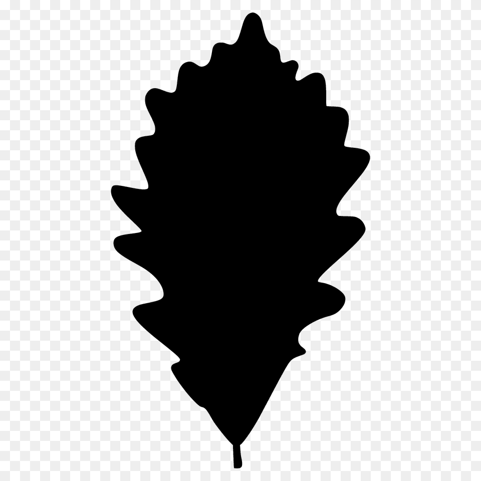 Swamp White Oak Leaf Silhouette, Plant, Person Free Png