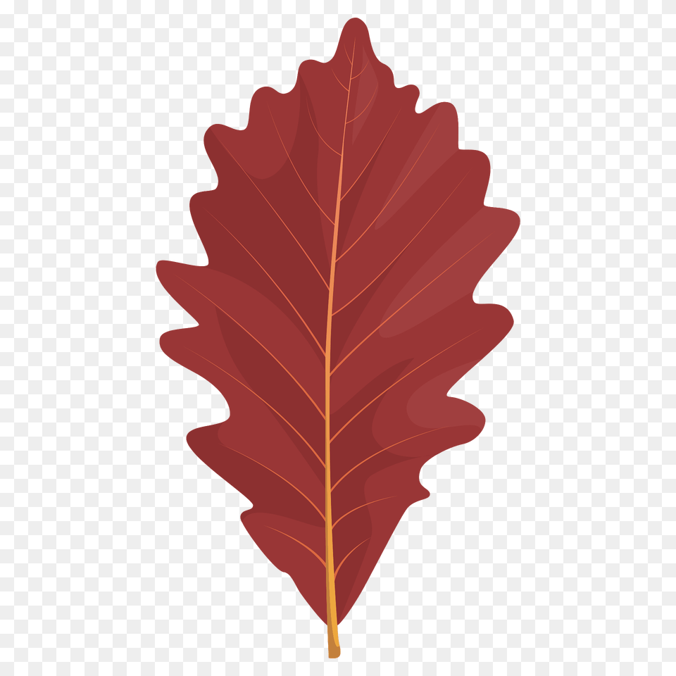 Swamp White Oak Red Leaf Clipart, Plant, Tree, Dynamite, Weapon Free Png Download