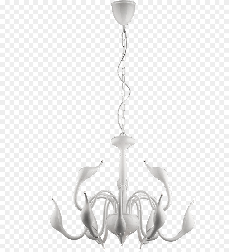 Swan 12 Light Pendant Italux Zvsn Stropn Svtidlo Swan, Chandelier, Lamp Free Transparent Png