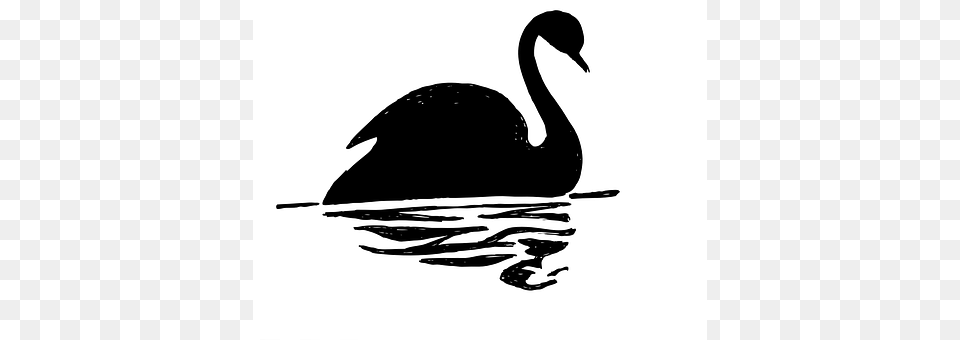 Swan Silhouette, Stencil, Animal, Bird Free Transparent Png