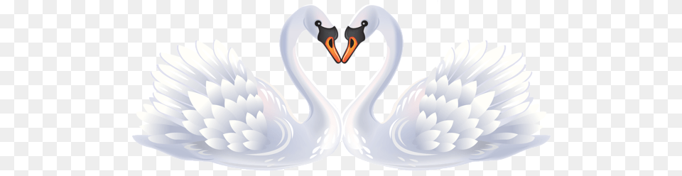 Swan, Animal, Bird, Beak Png