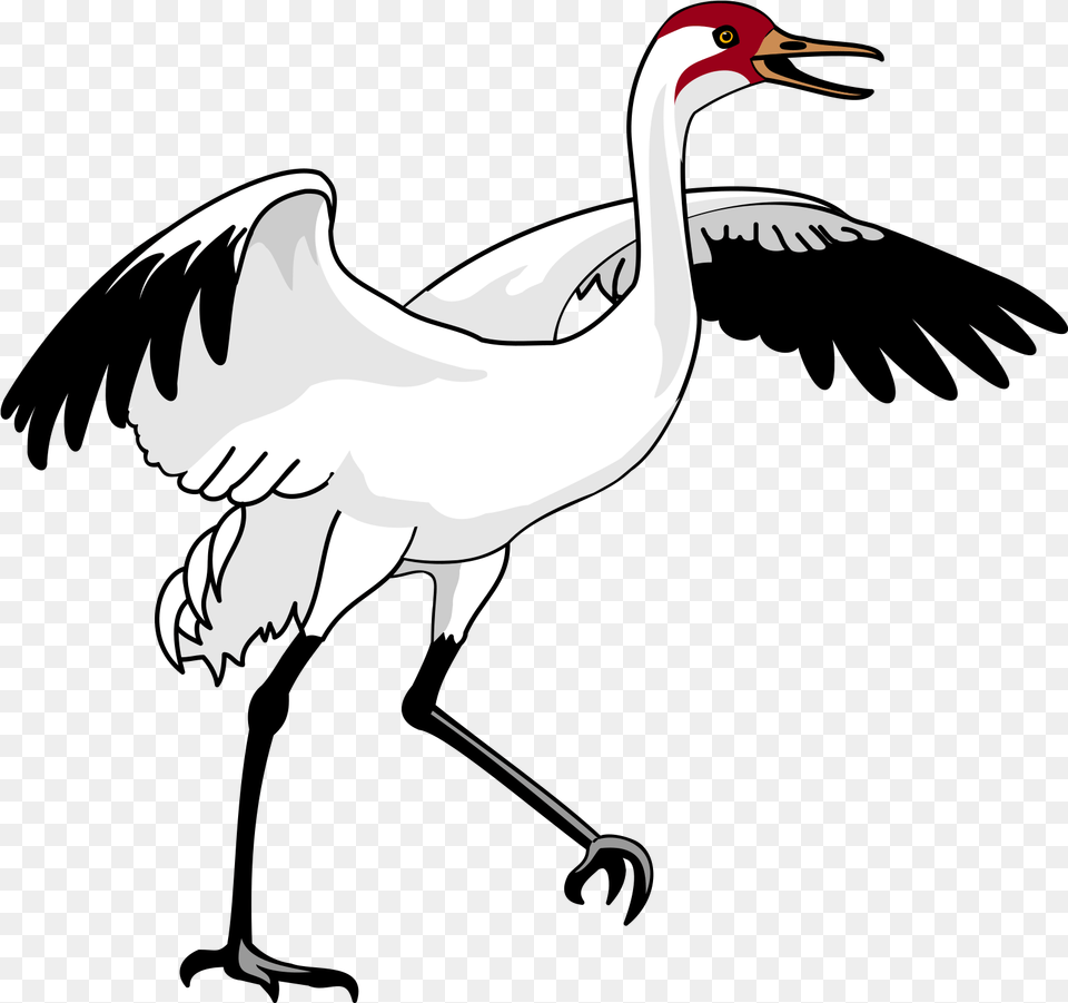 Swan 3 Cartoon Crane Bird Clipart, Animal, Crane Bird, Waterfowl, Adult Free Transparent Png