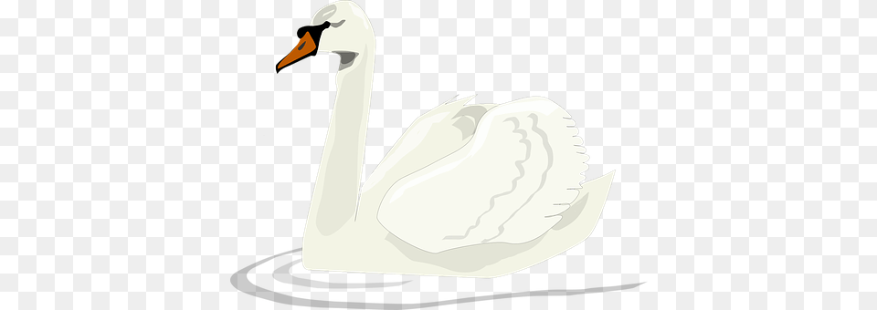 Swan Animal, Bird, Anseriformes, Waterfowl Png Image